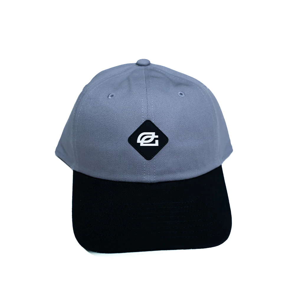 GL Dad Hat (GREY) - Image 3