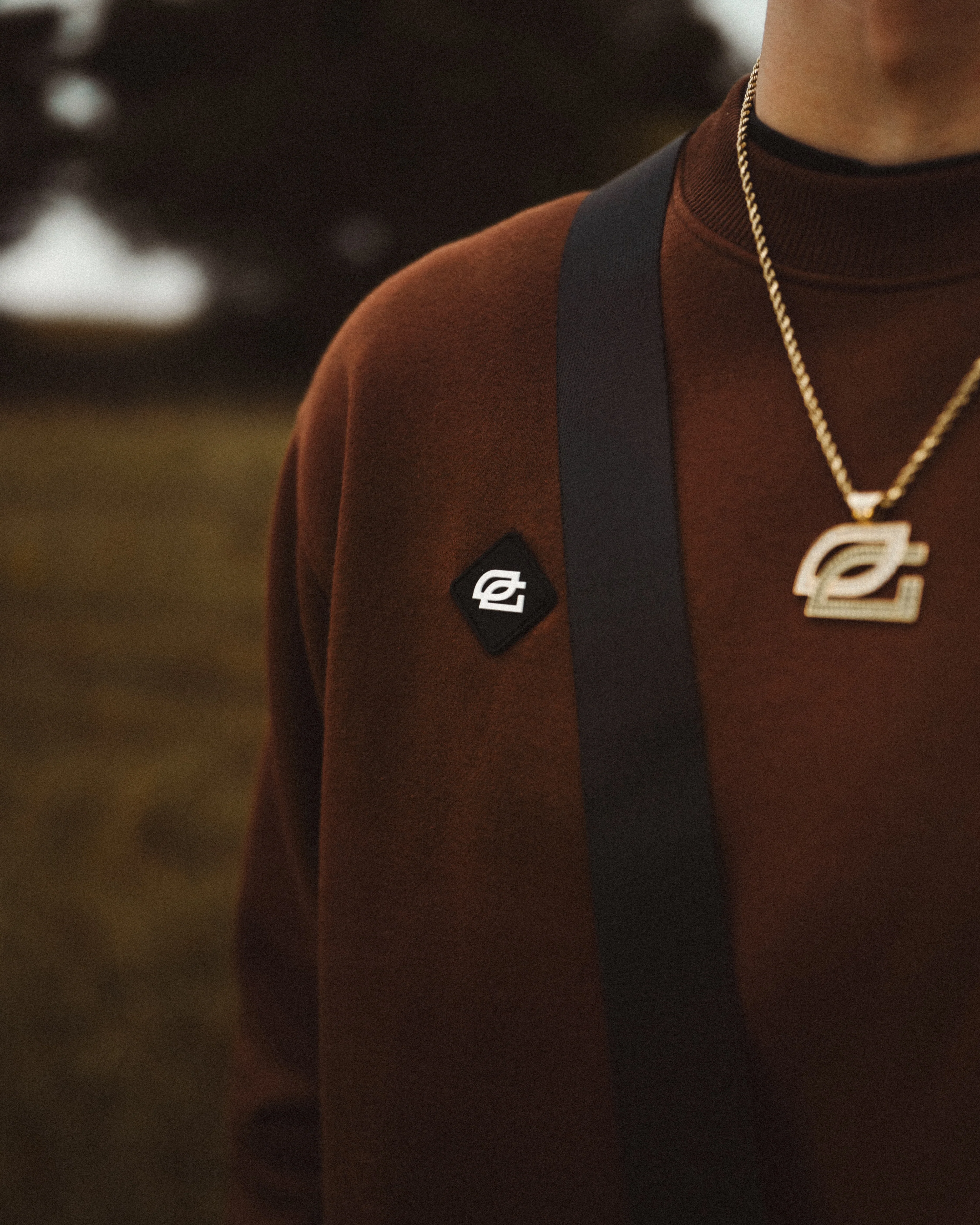 GL Fall Athletic Crewneck (Coffee) - Image 4